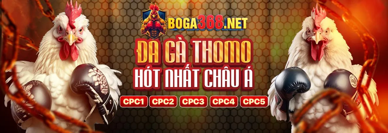 Đá gà elibet trực tuyến